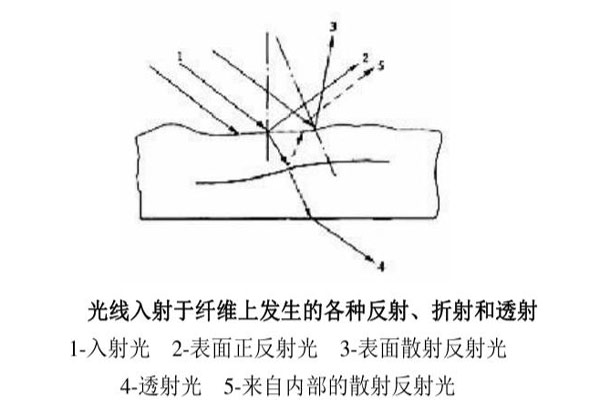 光線入射于纖維上發(fā)生的各種反射、折射和透射